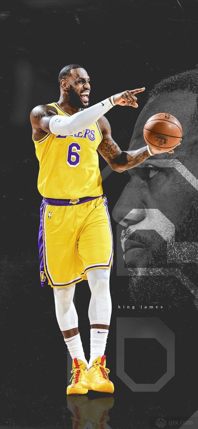 本多样化 本多样化